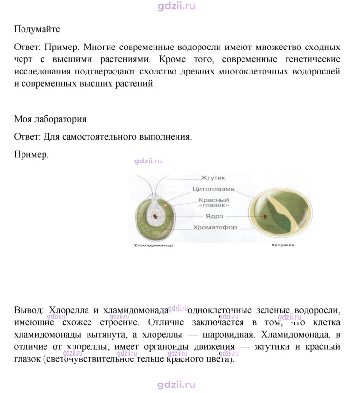 Скан решения номера стр. 26