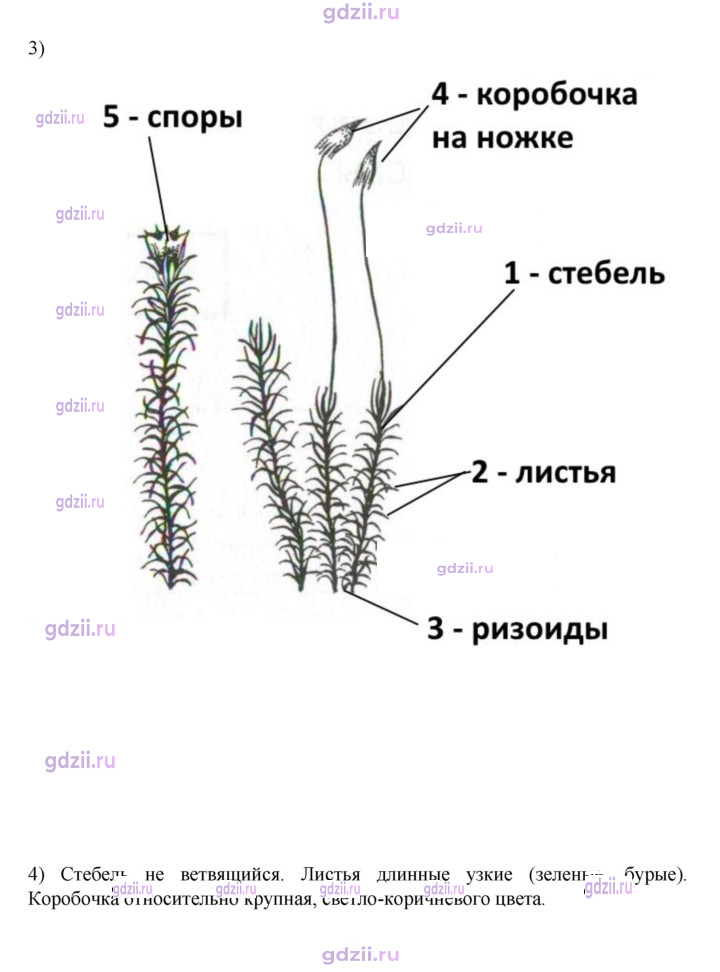 Скан решения номера стр. 32