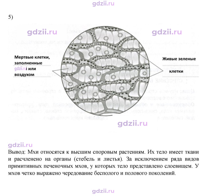 Скан решения номера стр. 32