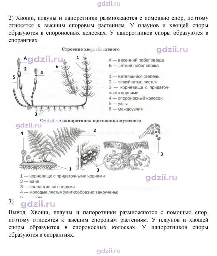 Скан решения номера стр. 38