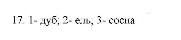 Скан решения номера 17