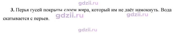 Скан решения номера 3