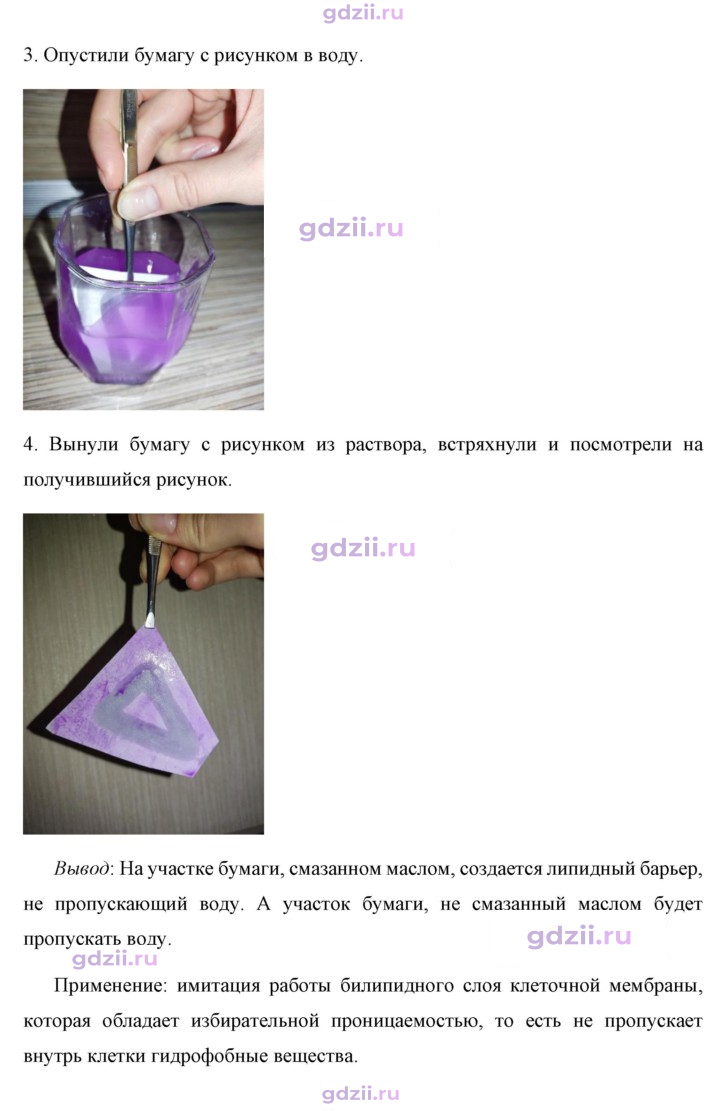 Скан решения номера 2