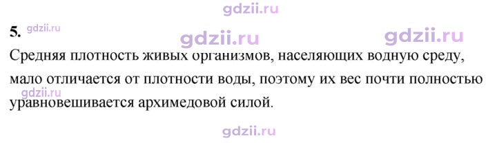 Скан решения номера 5