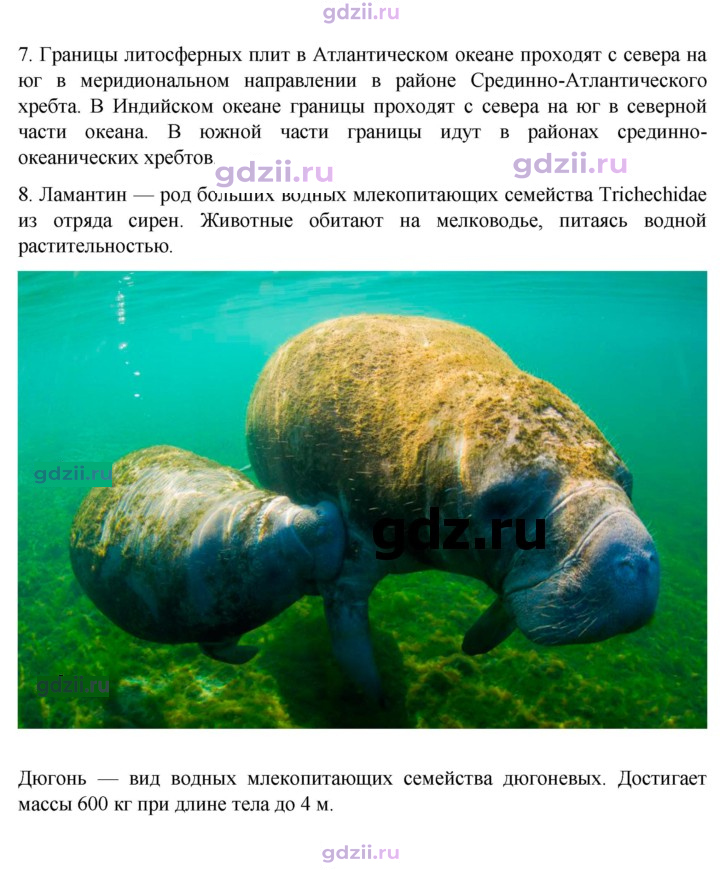 Скан решения номера 89