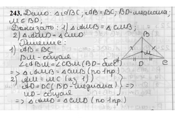 Скан решения номера 243