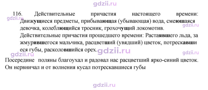 Скан решения номера 116