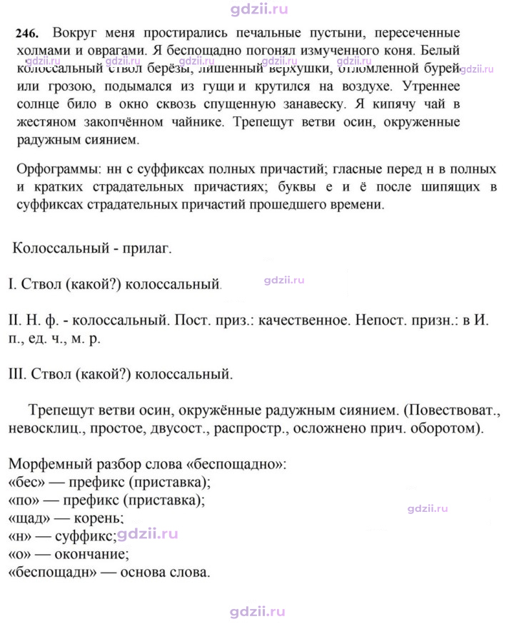 Скан решения номера 246