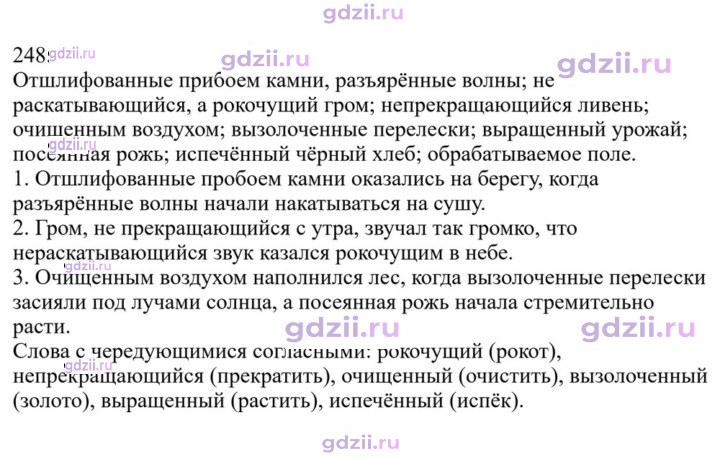 Скан решения номера 248