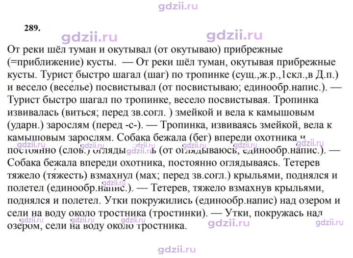Скан решения номера 289