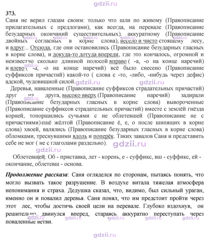 Скан решения номера 373