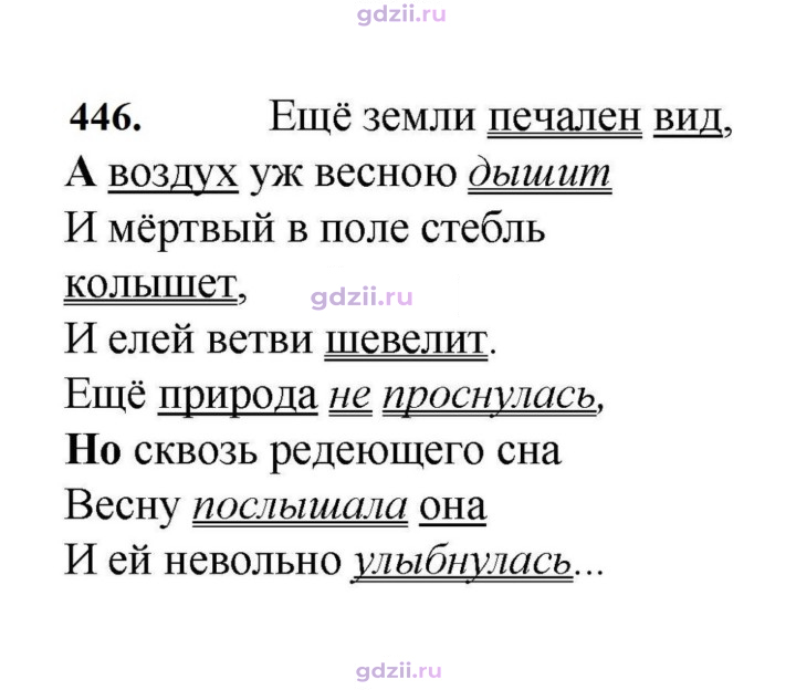 Скан решения номера 446