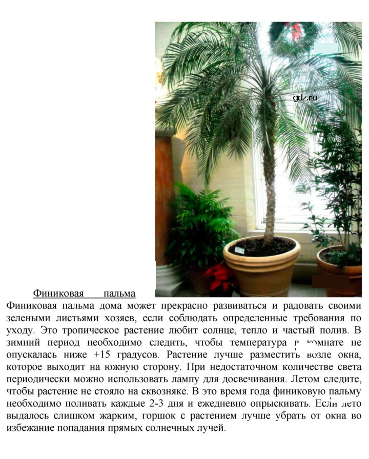 Скан решения номера 1