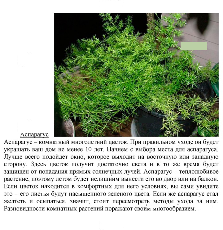 Скан решения номера 1