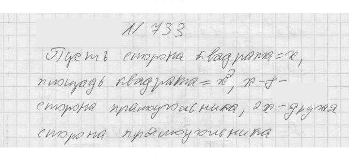 Скан решения номера 733