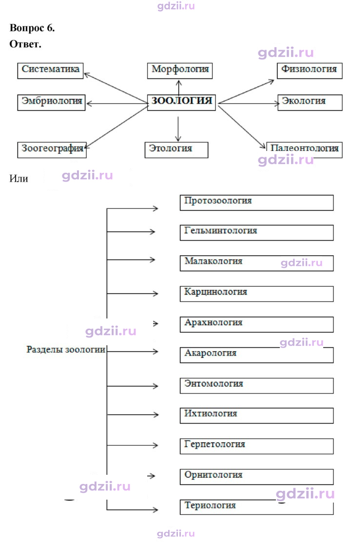 Скан решения номера 9