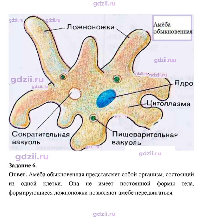 Скан решения номера 65