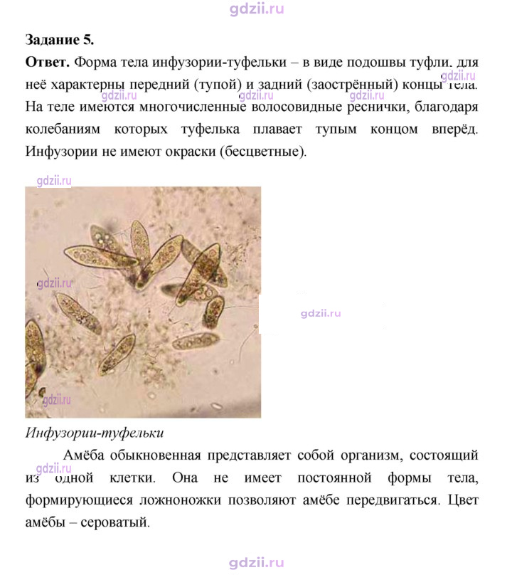 Скан решения номера 69