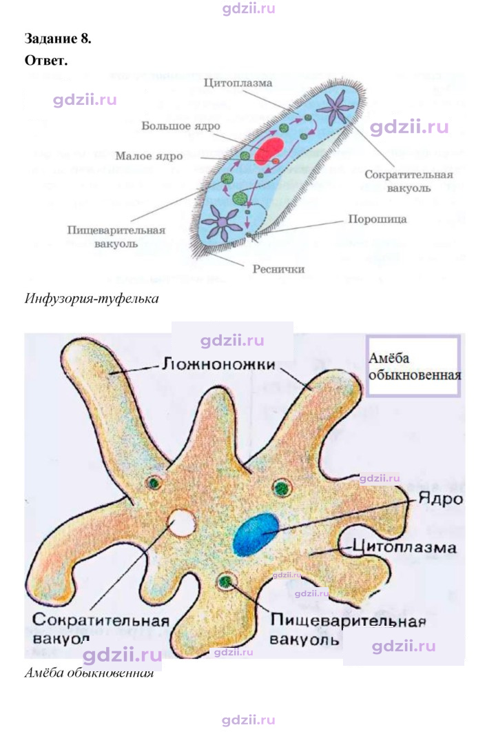 Скан решения номера 69