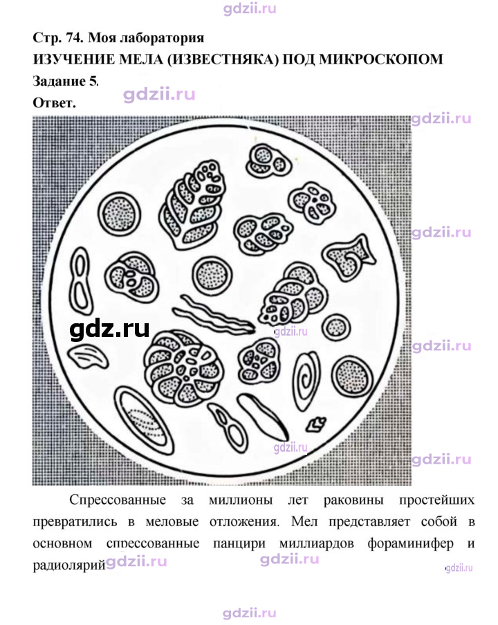 Скан решения номера 74