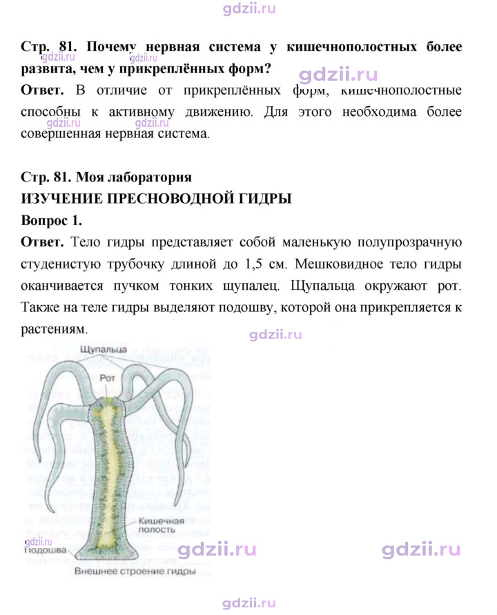 Скан решения номера 81