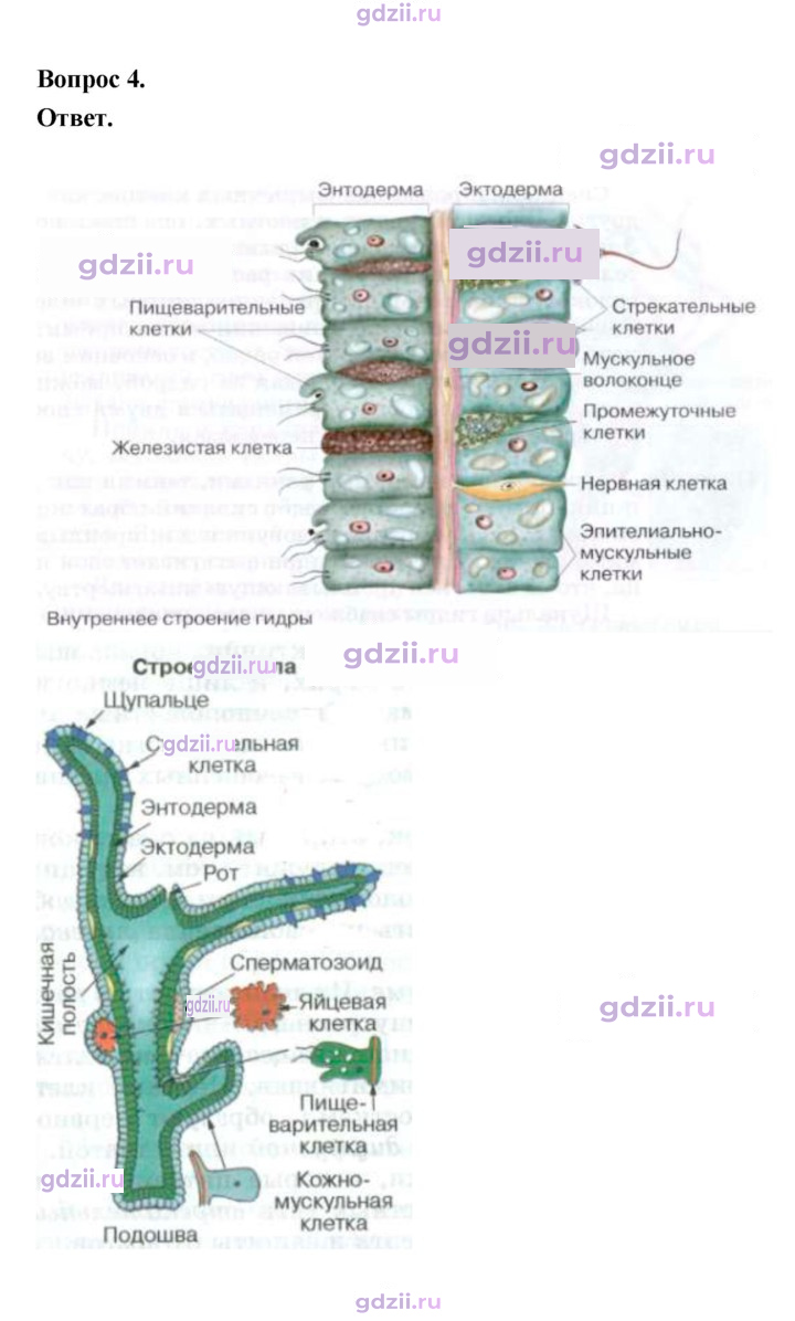 Скан решения номера 81