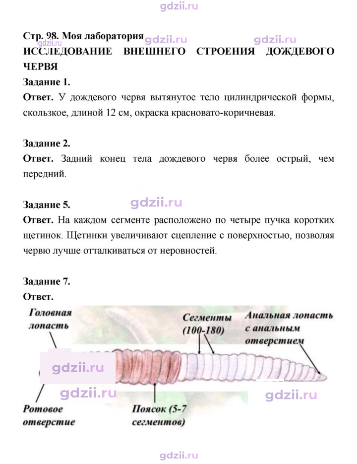 Скан решения номера 98