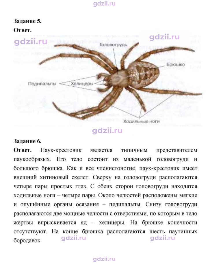 Скан решения номера 111