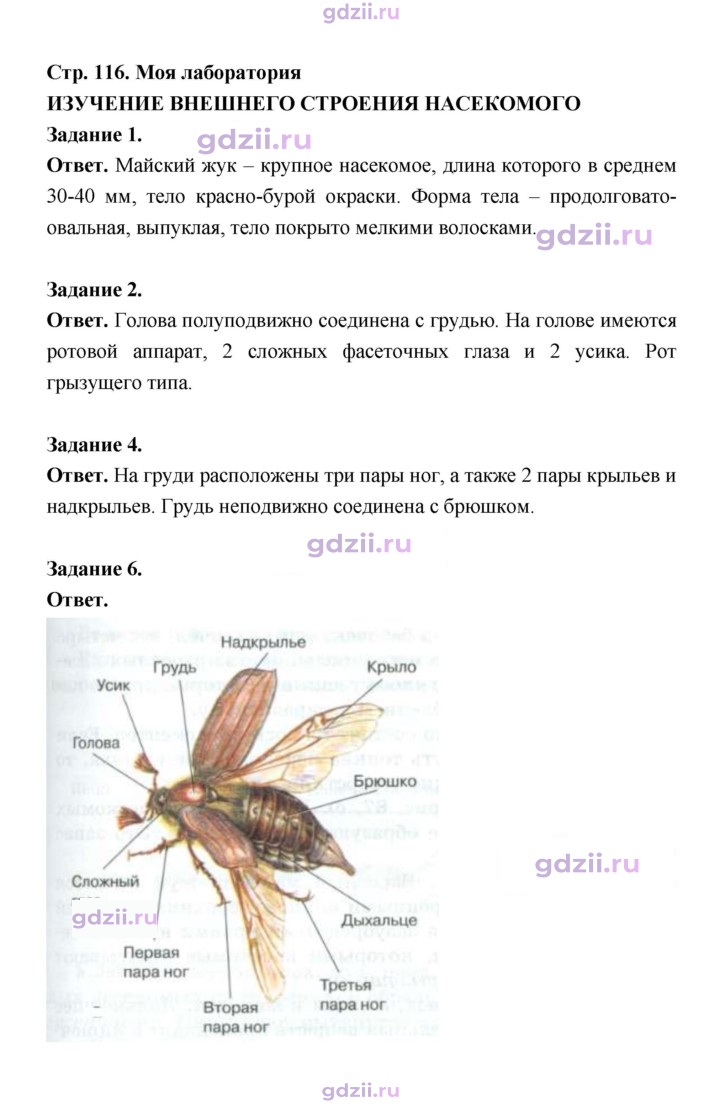 Скан решения номера 116