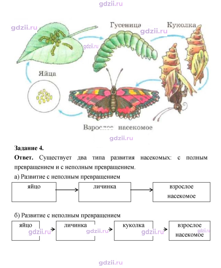 Скан решения номера 121
