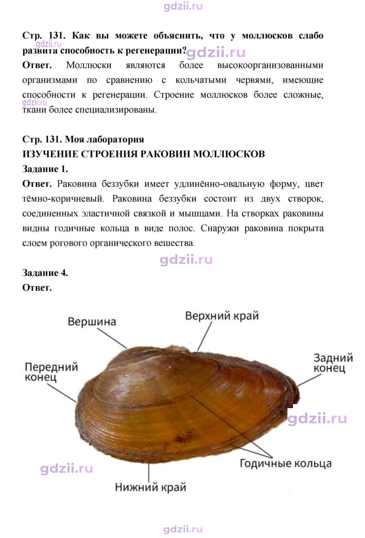 Скан решения номера 131