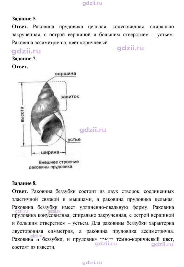 Скан решения номера 131