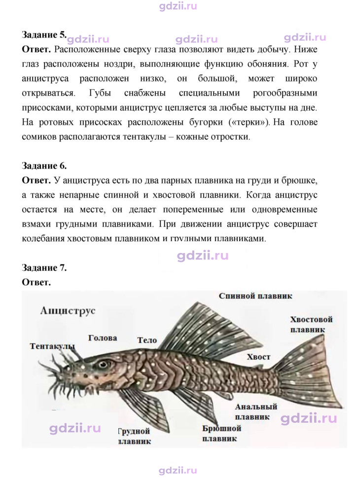 Скан решения номера 147