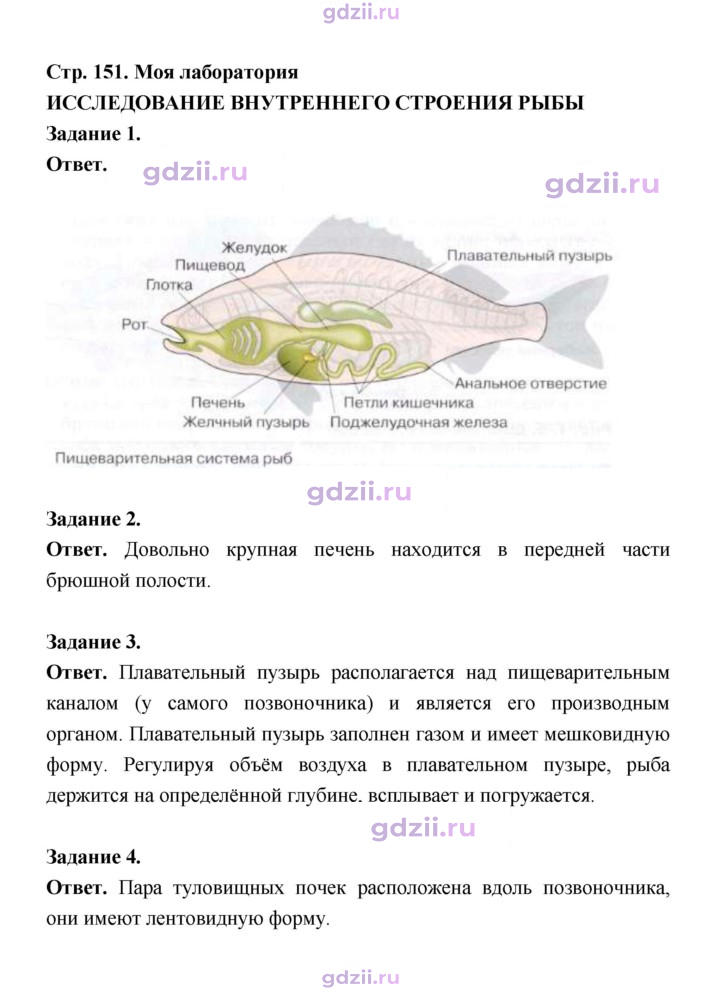 Скан решения номера 151