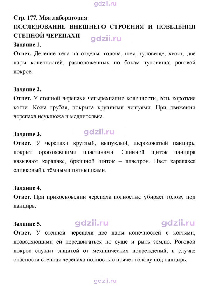 Скан решения номера 177