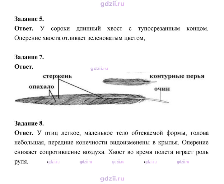 Скан решения номера 180