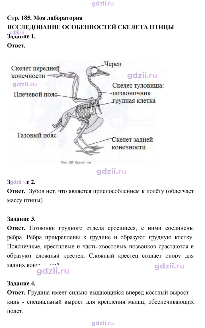 Скан решения номера 185