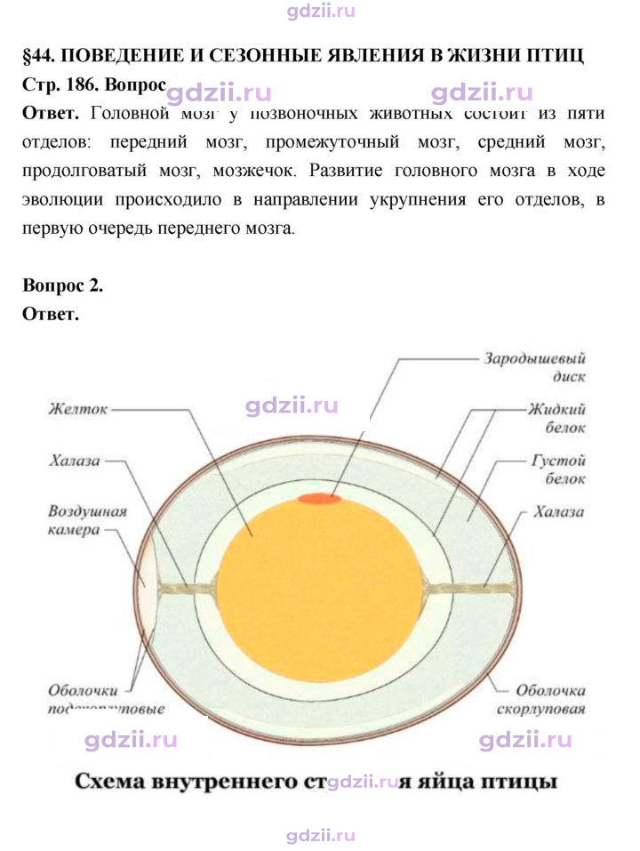 Скан решения номера 186