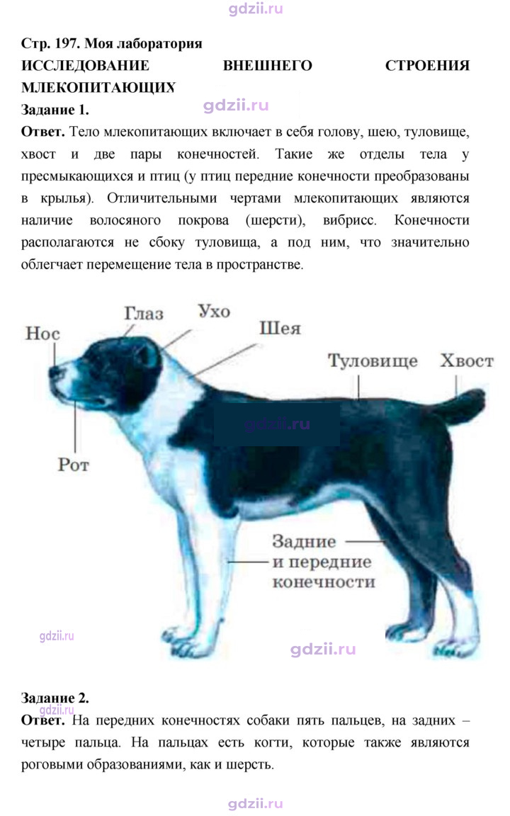 Скан решения номера 197