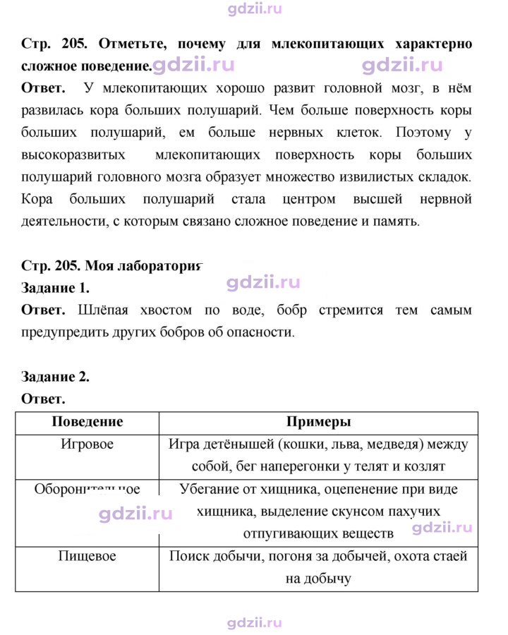 Скан решения номера 205
