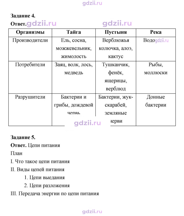 Скан решения номера 243