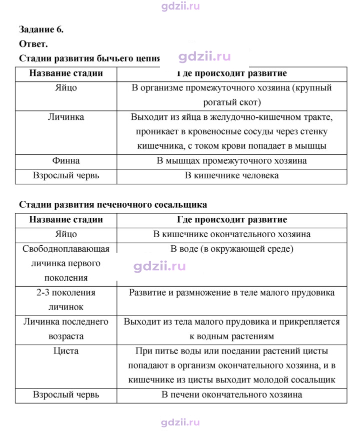 Скан решения номера 243