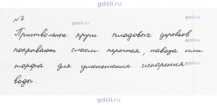 Скан решения номера 7
