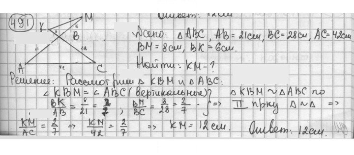 Скан решения номера 491