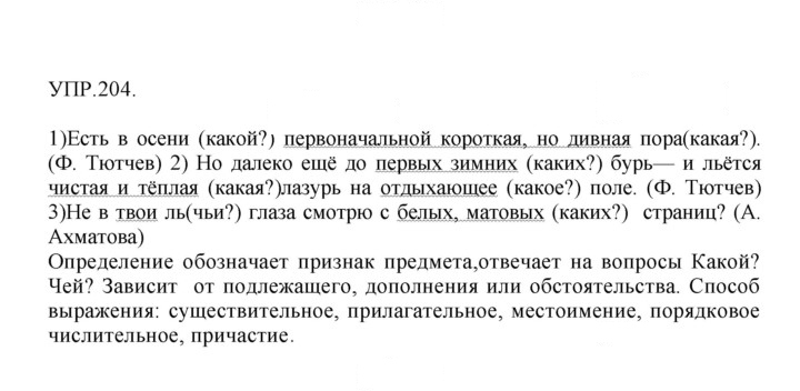 Скан решения номера 204