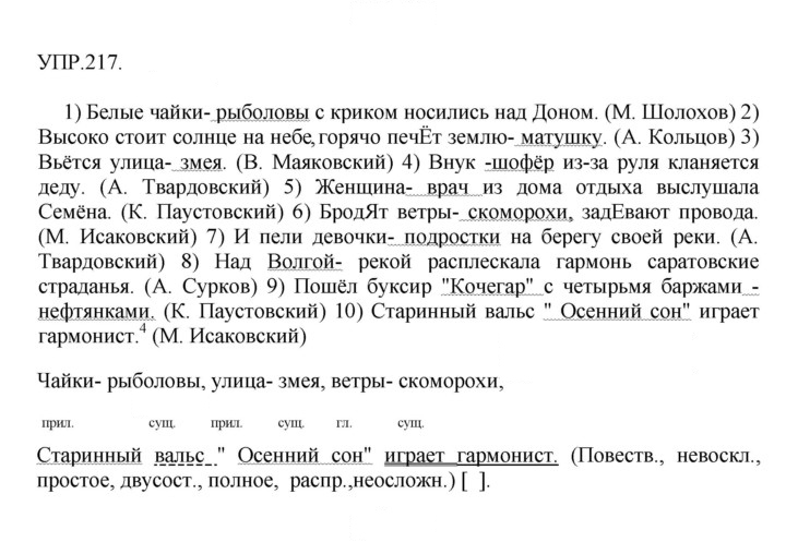 Скан решения номера 217