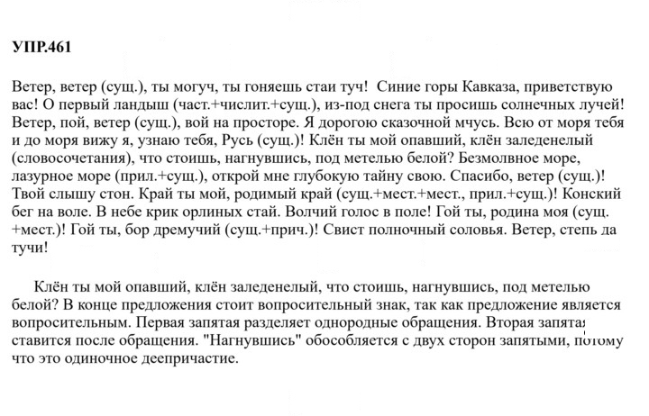 Скан решения номера 461