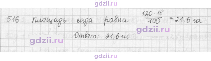 Скан решения номера 516