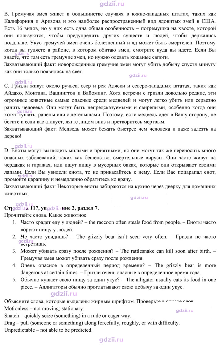 Скан решения номера 117