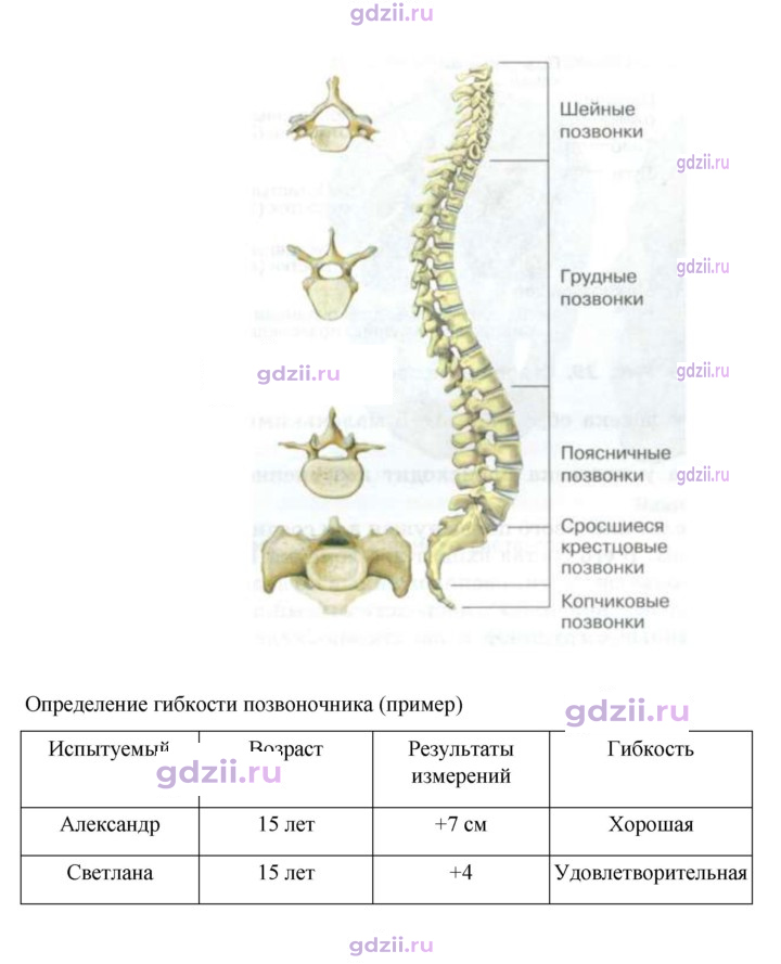 Скан решения номера 83